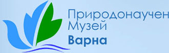 ��� ����� - ������������� �����